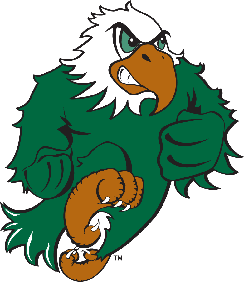 North Texas Mean Green 2003-2005 Mascot Logo diy iron on heat transfer